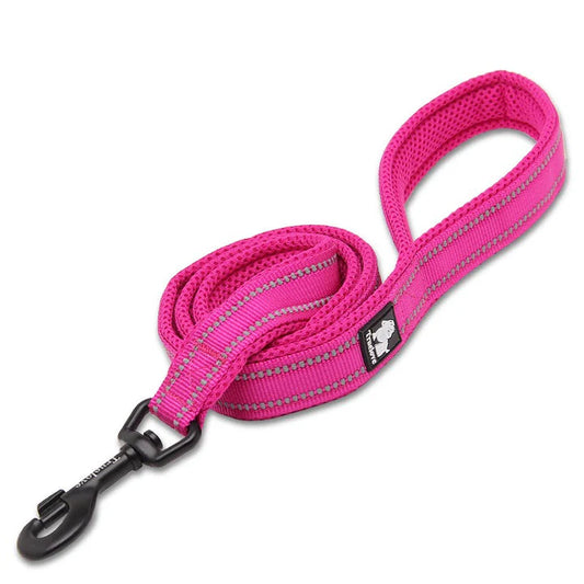 Dog Leashes